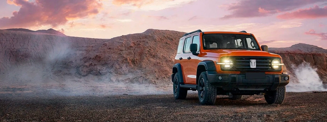 Купить Tank в Новосибирске